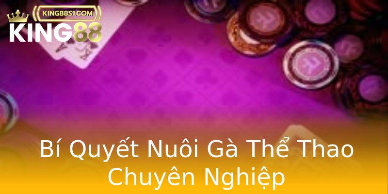 Bí Quyết Nuôi Gà Thể Thao Chuyên Nghiệp