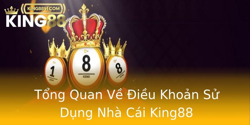 Tổng Quan Về Điều Khoản Sử Dụng Nhà Cái King88